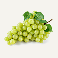 </noscript>Grapes